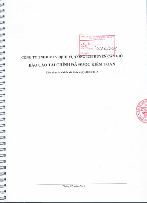 báo cáo kiểm toán 2015 2