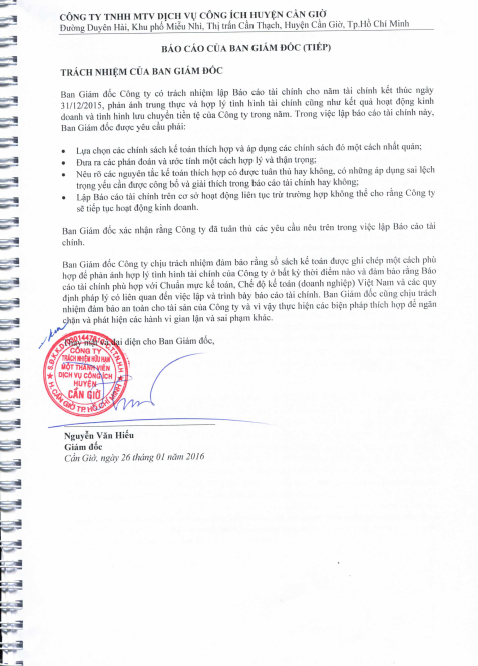 báo cáo kiểm toán 2015 5