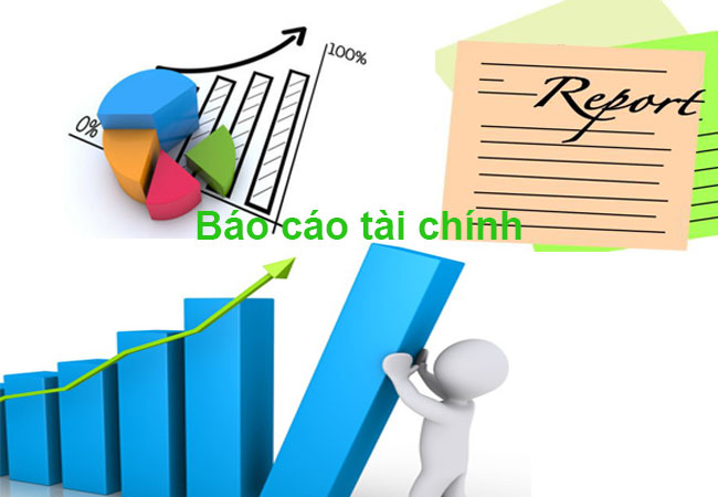 bao cao tai chinh