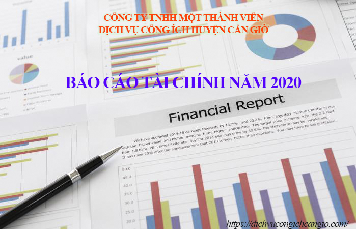 bao cao tai chin 2020