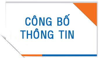 doanh nghiep co nghia vu cong bo nhung thong tin gi 4