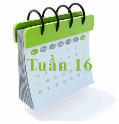 tuan 16